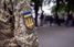 Толчок женщины попал на видео: во Львове расследуют конфликт с ТЦК