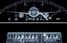 До Києва їде майстер X-Ray-фотографії і автор найбільшого у світі рентгенівського фото Нік Візі